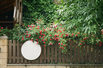 Rustic Fence with Red Roses and Round Sign - Vanadzor, Armenia