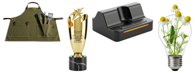 Collection of barbecue apron with tools, gold "Best Dad Ever" trophy, black charging dock, and light bulb terrarium with chamomile flowers and grasshopper