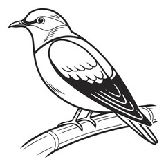 Illustration of a bird perched on a branch, showcasing its feathers and wings isolated on white background