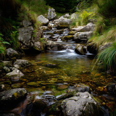Fototapeta premium A stream of water flows through a rocky area