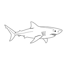 Obraz premium Cartoon shark swimming in outline style on white background 