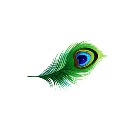 Obraz premium Vivid Green Peacock Feather with Eye Spot on Black Background
