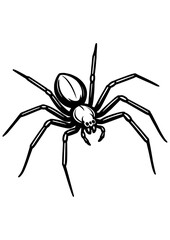 Black and white vector of spider on white background. Perfect for engraving, prints, tattoos, laser projects, insect designs, and spider lovers