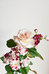 コーラルピンクと赤のばら