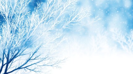 Frosty branches adorned with snowflakes create a serene winter landscape, evoking tranquility and beauty