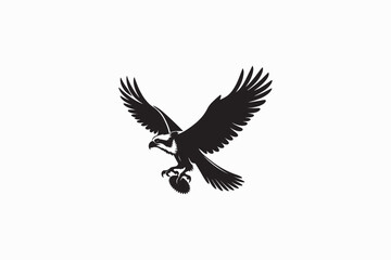 An Osprey bird vector silhouettes black image made by adobe illustrator. eps