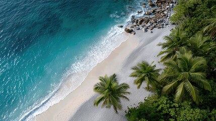 Paradise Beach: A breathtaking aerial perspective showcases a pristine tropical beach, where the turquoise sea meets the soft, golden sand, framed by lush palm trees and vibrant greenery.