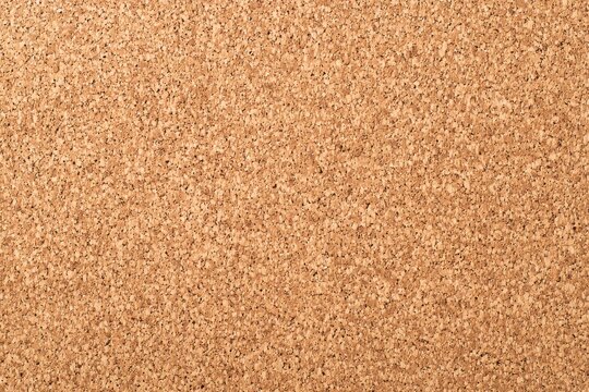 Empty corkboard background with copy space, horizontal