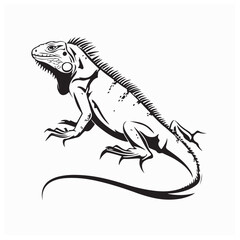 Minimal Line Vector of Walking Iguana in Realistic Reptile Style