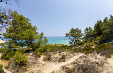 Scenic view of a turquoise sea and sandy beach framed by pine trees and rocky terrain on a sunny summer day