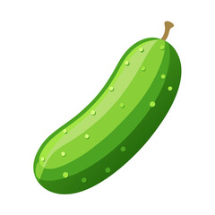 cucumber vector