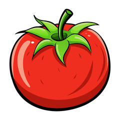 tomato vector illustration