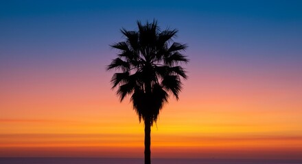 Silhouette Palm Tree at Sunset Over Ocean