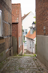 narrow street in old tallinn, The building on the right is a bright, white facade, and the one on the far left is a darker, brick structure. The scene is framed by trees at the top, and the cobbleston