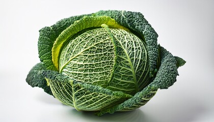 Fototapeta premium whole head of savoy cabbage with textured green leaves isolated on white background studio food photography organic vegetable and healthy eating concept design for poster banner print wallpaper