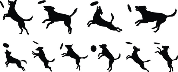 Dog, silhouette, frisbee, catch, jump, run, play, pet, action, black, vector, agility