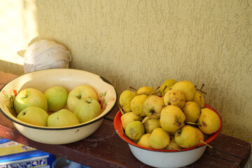 Bowl of Fresh Homegrown Pears in Garden – Close-Up Shot