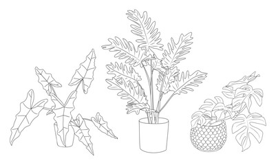 Set of Houseplants outline drawings. Indoor exotic flowers in pots line art. Philodendron, monstera, alocasia plant for home interior plans, design. Vector illustrations on transparent background © Creative_Juice_Art