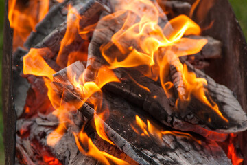 Fire in the grill. Fire in the fireplace. Fire and coals. design