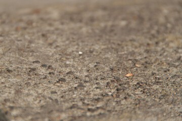 Concrete texture. Textured texture of concrete and plaster. Wall with rough texture. Old concrete
