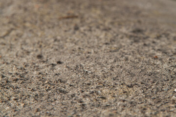 Concrete texture. Textured texture of concrete and plaster. Wall with rough texture. Old concrete
