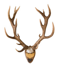 Fototapeta premium Antlers from a huge stag mounted on wood board, weight over 7 kilos, hunted in 1898