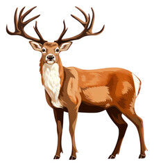 PNG A dear standing wildlife antler animal.