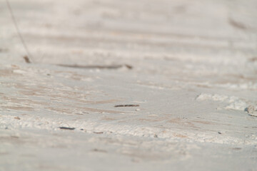 Texture of textured plaster. Coarse plaster. Texture gray textured