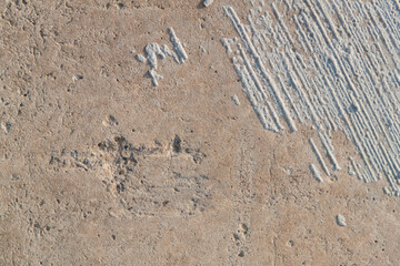 Concrete texture. Textured texture of concrete and plaster. Wall with rough texture. Old concrete