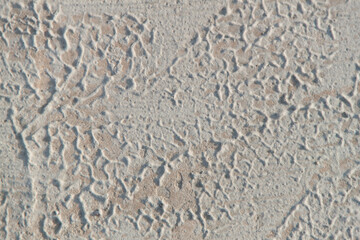 Texture of textured plaster. Coarse plaster. Texture gray textured