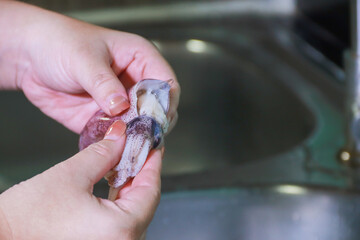 Another angle cleaning squid with hands over sink