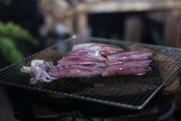 Low Angle View of Squids Lined Up on Charcoal Grill