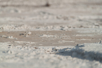 Texture of textured plaster. Coarse plaster. Texture gray textured