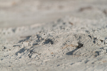 Texture of textured plaster. Coarse plaster. Texture gray textured