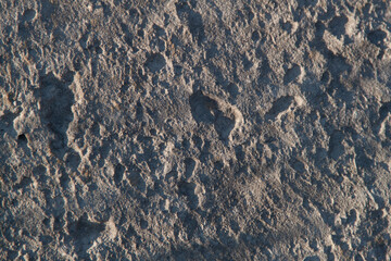 Concrete texture. Textured texture of concrete and plaster. Wall with rough texture. Old concrete