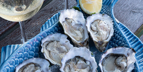 Fresh oysters ready to taste © EMILIA