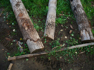 Logs on Muddy Ground