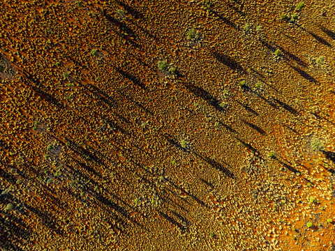 Aerial view of the arid landscape, where shadows dance across the red earth dotted with sparse green vegetation, Petermann, Northern Territory, Australia.