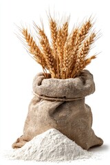 Wheat ears in burlap bag with flour