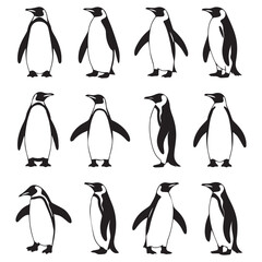 Fototapeta premium Set of twelve penguin illustrations in various poses isolated on white background, perfect for wildlife projects, educational materials, or adding a touch of antarctic charm