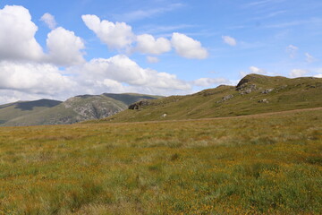 Obraz premium Lake district national park England, north lakes fells