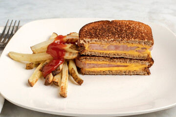 spam melt sandwich  served  french fries