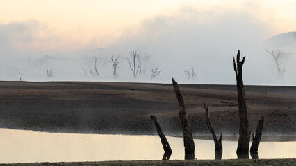 A foggy, desolate landscape with a body of water and a few trees