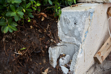 Damaged Foundation with Exposed Roots