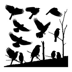 Silhouette of a Woman Wearing a Scarf and Hat female person