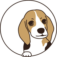 ビーグル犬が丸い枠から顔を出しているステッカー風イラスト
