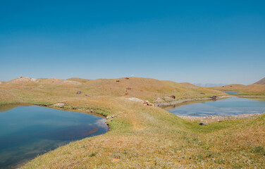 Picturesque shot of majestic green hills with unique shapes and vibrant textures in Pamir range mountains at 3600m altitude capturing stunning natural landscape, Pamir mountains, Southern Kyrgyzstan