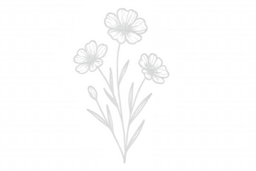 Minimalist white line art depicts blooming flowers with transparent background, ideal for design projects