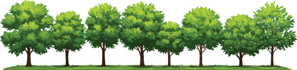 Fototapeta premium Eight lush green trees standing in a row on grassy ground, isolated on white background, vibrant nature landscape