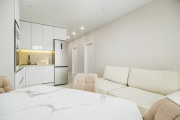 Modern kitchen and living area in an apartment designed for comfort and style in a contemporary setting